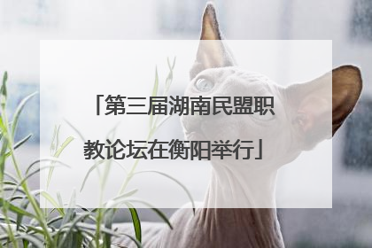 第三届湖南民盟职教论坛在衡阳举行