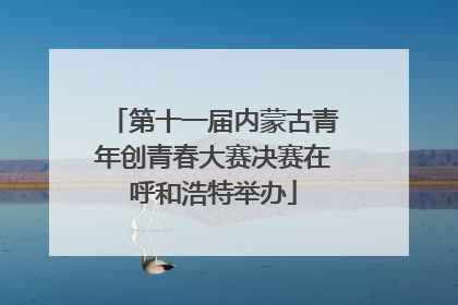 第十一届内蒙古青年创青春大赛决赛在呼和浩特举办