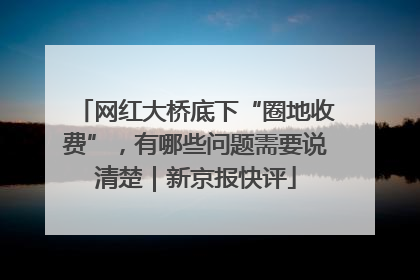 网红大桥底下“圈地收费”，有哪些问题需要说清楚｜新京报快评
