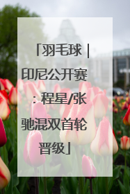 羽毛球｜印尼公开赛：程星/张驰混双首轮晋级