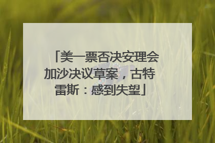 美一票否决安理会加沙决议草案，古特雷斯：感到失望