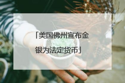 美国佛州宣布金银为法定货币