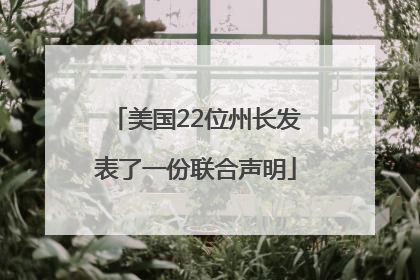 美国22位州长发表了一份联合声明