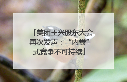 美团王兴股东大会再次发声：“内卷”式竞争不可持续