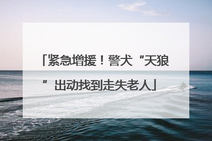 紧急增援！警犬“天狼”出动找到走失老人