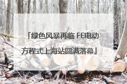 绿色风暴再临 FE电动方程式上海站圆满落幕