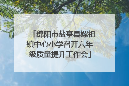 绵阳市盐亭县嫘祖镇中心小学召开六年级质量提升工作会