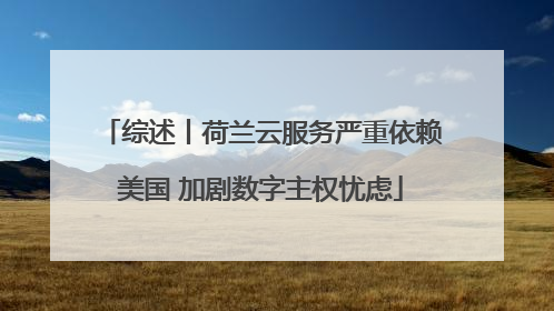 综述丨荷兰云服务严重依赖美国 加剧数字主权忧虑