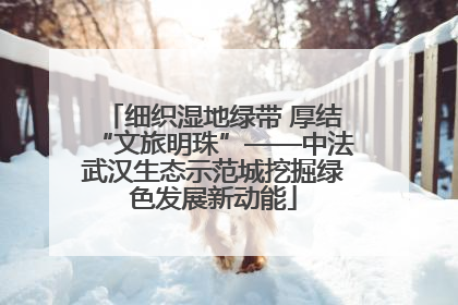 细织湿地绿带 厚结“文旅明珠”——中法武汉生态示范城挖掘绿色发展新动能
