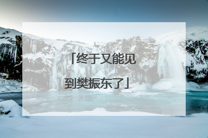 终于又能见到樊振东了