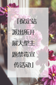 保定站派出所开展大型主题禁毒宣传活动