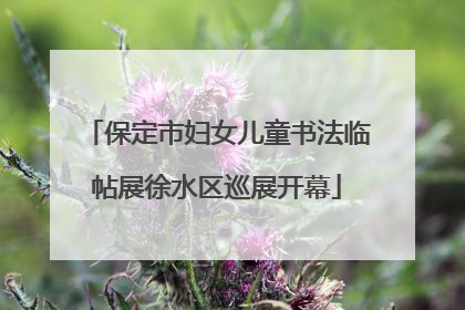 保定市妇女儿童书法临帖展徐水区巡展开幕