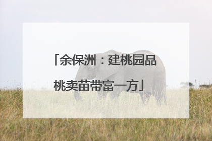 余保洲：建桃园品桃卖苗带富一方