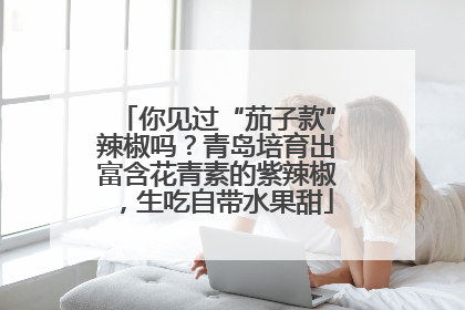 你见过“茄子款”辣椒吗？青岛培育出富含花青素的紫辣椒，生吃自带水果甜