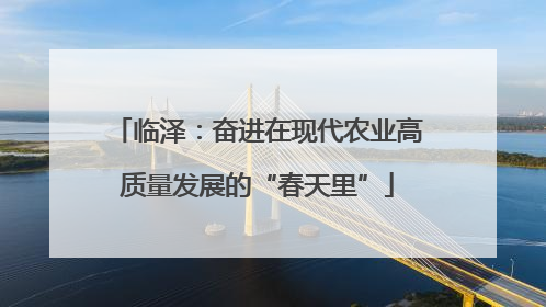 临泽：奋进在现代农业高质量发展的“春天里”