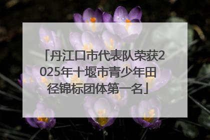 丹江口市代表队荣获2025年十堰市青少年田径锦标团体第一名