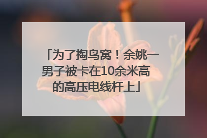为了掏鸟窝！余姚一男子被卡在10余米高的高压电线杆上