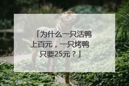 为什么一只活鸭上百元，一只烤鸭只要25元？