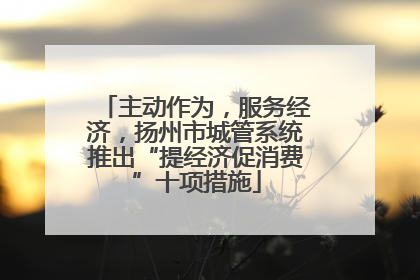 主动作为，服务经济，扬州市城管系统推出“提经济促消费”十项措施