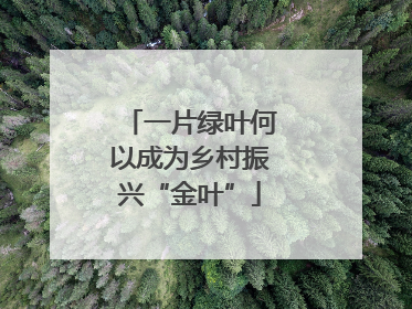 一片绿叶何以成为乡村振兴“金叶”