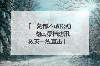 一刻都不敢松劲——湖南桑植防汛救灾一线直击