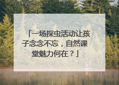 一场探虫活动让孩子念念不忘，自然课堂魅力何在？