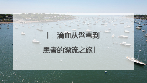 一滴血从臂弯到患者的漂流之旅