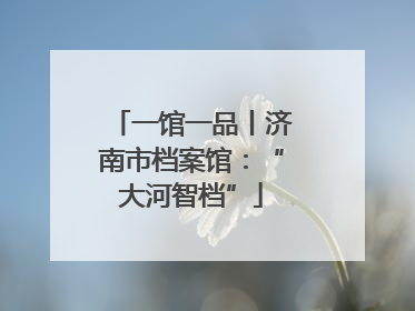 一馆一品丨济南市档案馆：“大河智档”