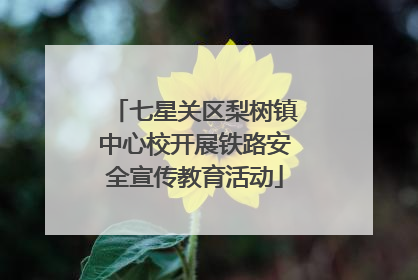 七星关区梨树镇中心校开展铁路安全宣传教育活动