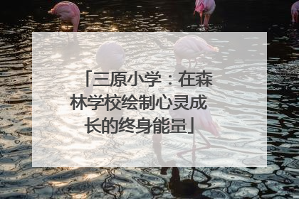 三原小学：在森林学校绘制心灵成长的终身能量