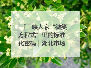 三峡人家“微笑方程式”里的标准化密码｜湖北市场监管所的故事