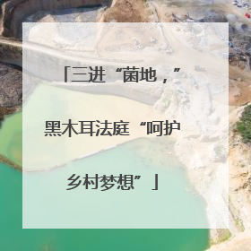 三进“菌地，”黑木耳法庭“呵护乡村梦想”