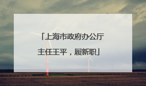 上海市政府办公厅主任王平，履新职
