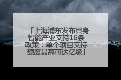 上海浦东发布具身智能产业支持16条政策：单个项目支持额度最高可达亿级
