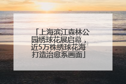 上海滨江森林公园绣球花展启幕，近5万株绣球花海打造治愈系画面