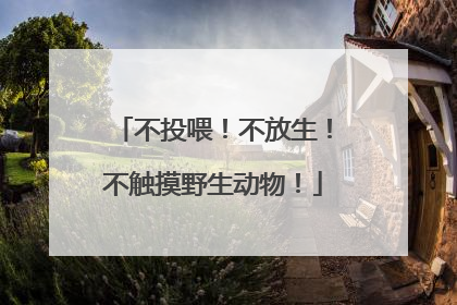 不投喂！不放生！不触摸野生动物！