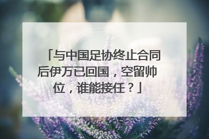 与中国足协终止合同后伊万已回国，空留帅位，谁能接任？