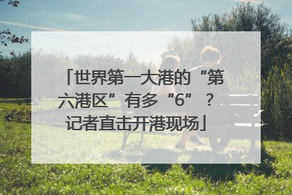 世界第一大港的“第六港区”有多“6”？记者直击开港现场