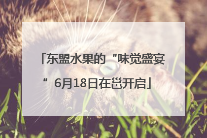 东盟水果的“味觉盛宴”6月18日在邕开启