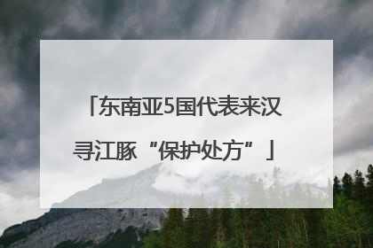 东南亚5国代表来汉寻江豚“保护处方”