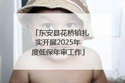 东安县花桥镇扎实开展2025年度低保年审工作