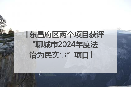 东昌府区两个项目获评“聊城市2024年度法治为民实事”项目