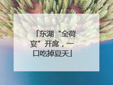 东湖“全荷宴”开席，一口吃掉夏天