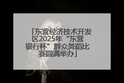 东营经济技术开发区2025年“东营银行杯”群众舞蹈比赛圆满举办