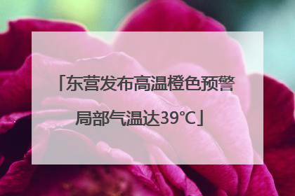 东营发布高温橙色预警 局部气温达39℃