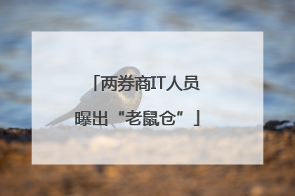 两券商IT人员曝出“老鼠仓”