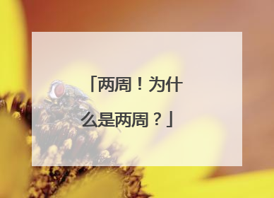 两周！为什么是两周？