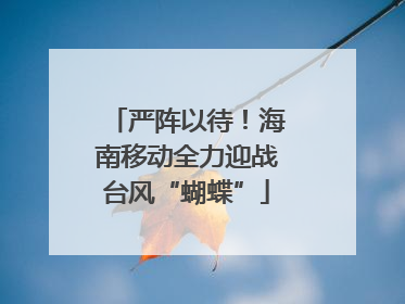 严阵以待！海南移动全力迎战台风“蝴蝶”