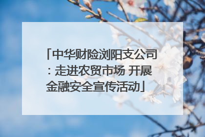 中华财险浏阳支公司：走进农贸市场 开展金融安全宣传活动
