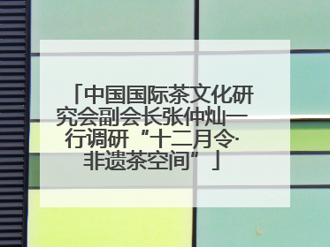 中国国际茶文化研究会副会长张仲灿一行调研“十二月令·非遗茶空间”